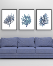 Load image into Gallery viewer, Blue Seaweed Watercolour Print - 3 Piece Set
