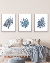 Load image into Gallery viewer, Blue Seaweed Watercolour Print - 3 Piece Set
