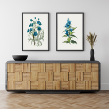 Load image into Gallery viewer, Willow Gentian and Blue Crystanthemum Vintage Print - 2 Piece Set
