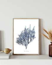 Load image into Gallery viewer, Blue Seaweed Print
