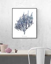 Load image into Gallery viewer, Blue Seaweed Print
