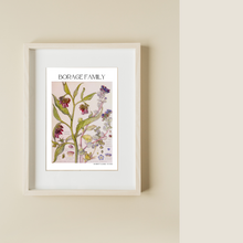 Load image into Gallery viewer, Borage Botanical Print by Harriet Isabel Adams
