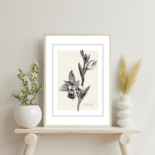 Load image into Gallery viewer, Corolla 1 Botanical Illustration
