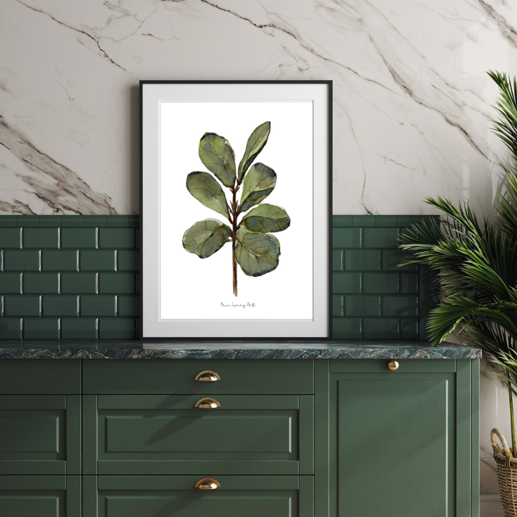 Ficus Plant Watercolor Print