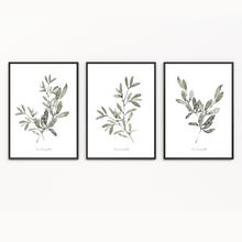 Load image into Gallery viewer, Grey Greenery Watercolour Print - 3 Piece Set
