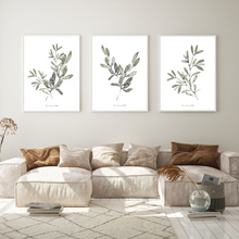 Load image into Gallery viewer, Grey Greenery Watercolour Print - 3 Piece Set
