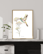 Load image into Gallery viewer, Wild Hummingbird Watercolour Print
