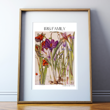 Load image into Gallery viewer, Vintage Botanical Iris Mounted Print by Harriet Isabel Adams

