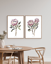 Load image into Gallery viewer, King Protea Watercolour Set - 2 Piece
