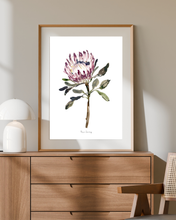 Load image into Gallery viewer, King Protea Watercolour Print
