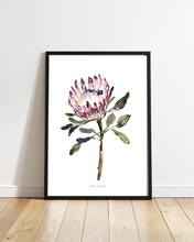 Load image into Gallery viewer, King Protea Watercolour Print
