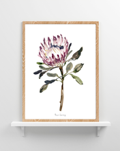 Load image into Gallery viewer, King Protea Watercolour Print
