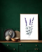 Load image into Gallery viewer, Lavender Sprig Watercolour Print
