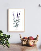 Load image into Gallery viewer, Lavender Sprig Watercolour Print
