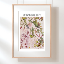 Load image into Gallery viewer, Morning Glory Botanical Print by Harriet Isabel Adams
