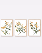 Load image into Gallery viewer, Mustard Abstract Watercolour Print - 3 Piece Set
