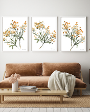 Load image into Gallery viewer, Mustard Abstract Watercolour Print - 3 Piece Set
