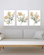 Load image into Gallery viewer, Mustard Abstract Watercolour Print - 3 Piece Set
