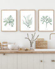 Load image into Gallery viewer, Ocean Greens Watercolour Print - 3 Piece Set
