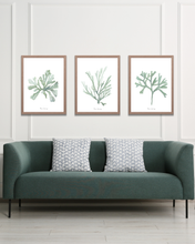 Load image into Gallery viewer, Ocean Greens Watercolour Print - 3 Piece Set
