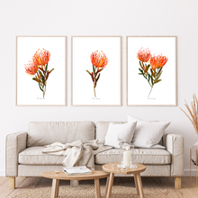 Load image into Gallery viewer, Orange Pin Cushion Watercolour Print 3-Piece Set
