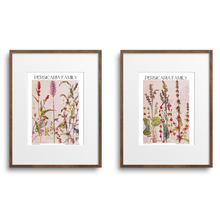 Load image into Gallery viewer, Persicaria Family Botanical -2 Piece Set by Harriet Isabel Adams
