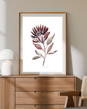 Load image into Gallery viewer, Protea Burn Watercolour Print
