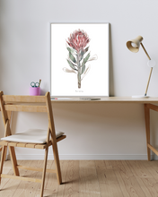 Load image into Gallery viewer, Protea Pair Watercolour Print - 2 Piece Set
