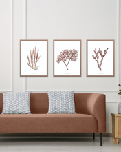 Load image into Gallery viewer, Burgandy Corals Watercolour Print - 3 Piece Set

