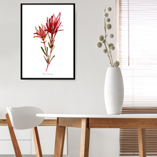 Load image into Gallery viewer, Safari Sunset Fynbos Watercolour Print
