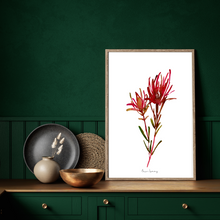 Load image into Gallery viewer, Safari Sunset Fynbos Watercolour Print
