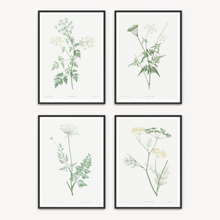 Load image into Gallery viewer, Whispering Whites Vintage Print - 4 Piece Set
