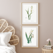 Load image into Gallery viewer, Iris and Tuberose Vintage Print - 2 Piece Set
