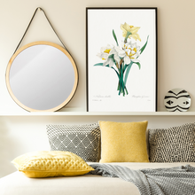 Load image into Gallery viewer, Double Daffodil Vintage Print
