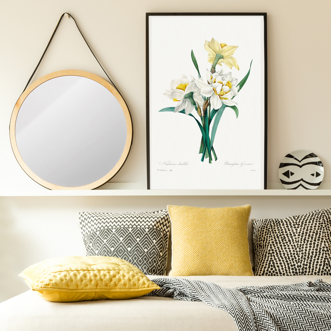 Double Daffodil Vintage Print