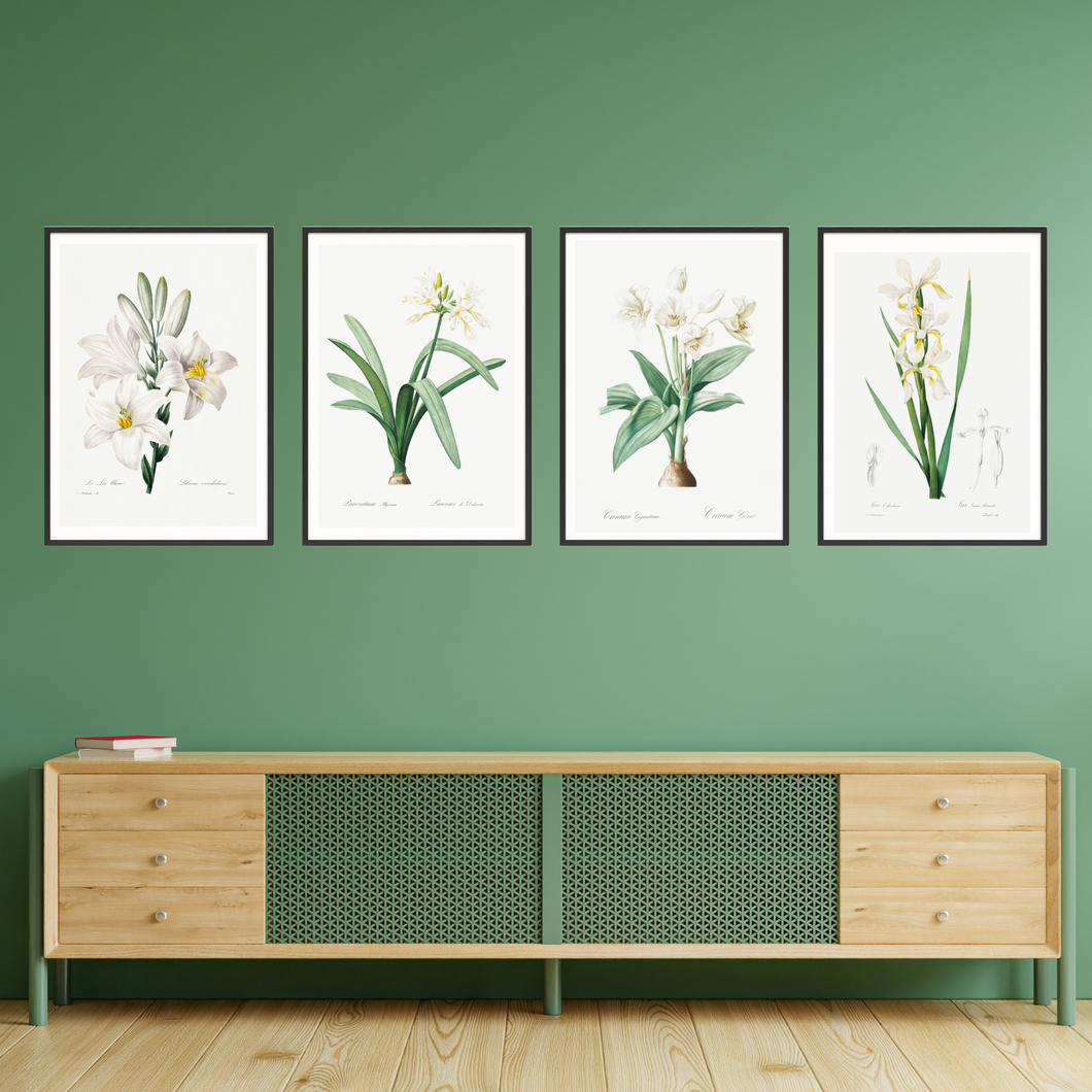 White Lilies and Iris Vintage Print - 4 Piece Set