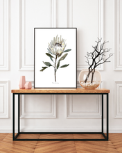 Load image into Gallery viewer, White Protea Watercolour Print
