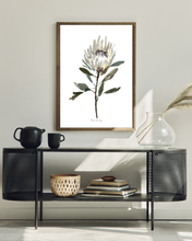 Load image into Gallery viewer, White Protea Watercolour Print
