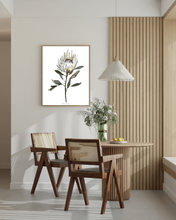 Load image into Gallery viewer, White Protea Watercolour Print
