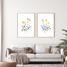 Load image into Gallery viewer, Yellow Dainty Watercolour Print - 2 Piece Set
