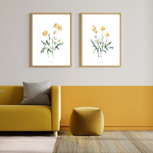 Load image into Gallery viewer, Yellow Dainty Watercolour Print - 2 Piece Set
