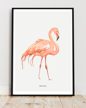 Load image into Gallery viewer, Kimberley Flamingo Watercolour Print
