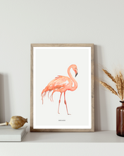 Load image into Gallery viewer, Kimberley Flamingo Watercolour Print
