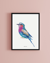 Load image into Gallery viewer, Lilac Breasted Roller Watercolour Print
