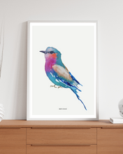 Load image into Gallery viewer, Lilac Breasted Roller Watercolour Print
