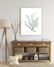 Load image into Gallery viewer, Ocean Botanical Print

