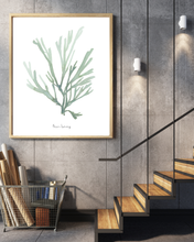 Load image into Gallery viewer, Ocean Botanical Print
