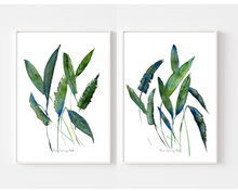 Load image into Gallery viewer, Dancing Tropical Greens 2-Piece Set
