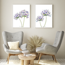Load image into Gallery viewer, Double Agapanthus 2-Piece Set
