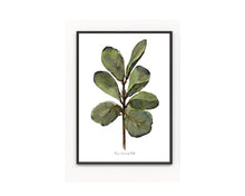 Load image into Gallery viewer, Ficus Plant Watercolor Print
